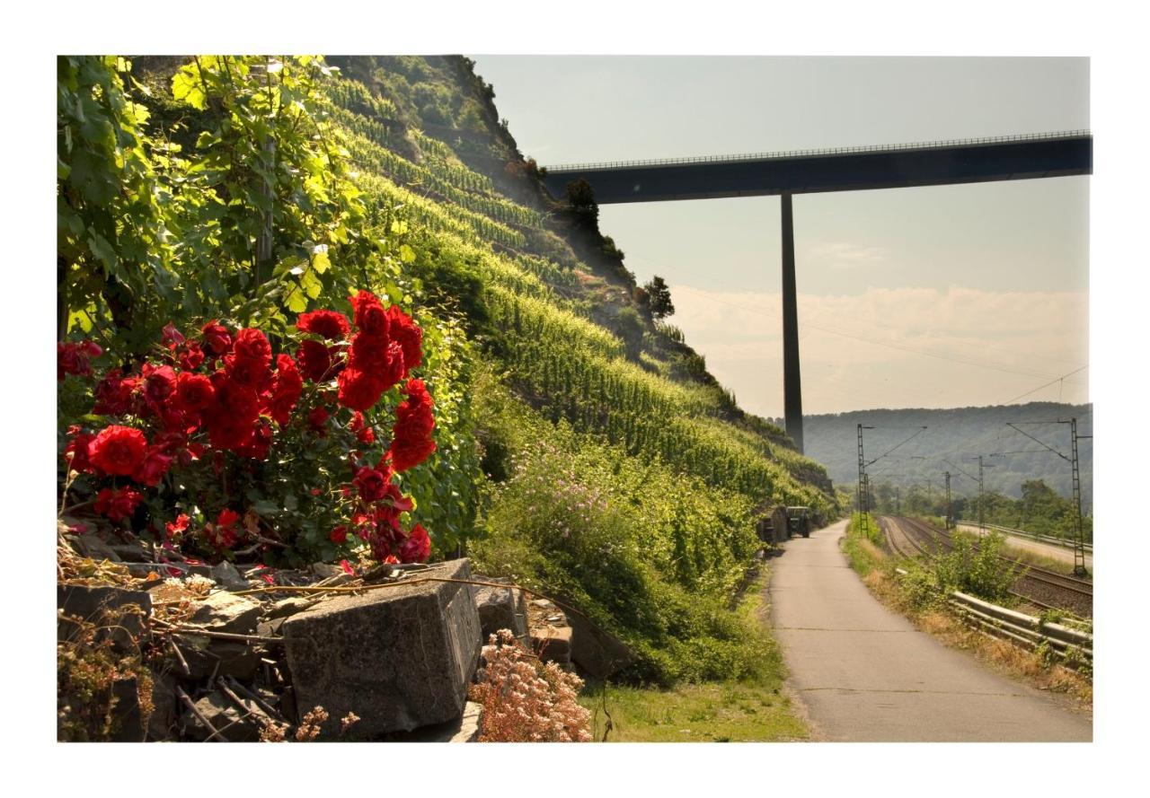 Alkener Elfenhaus Mit Kostenlosen Gaeste Ticket Esterno foto