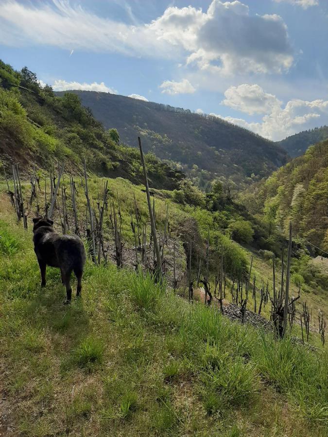 Alkener Elfenhaus Mit Kostenlosen Gaeste Ticket Esterno foto